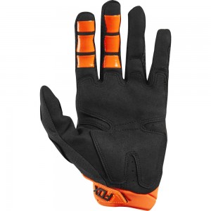 PAWTECTOR GLOVE 2