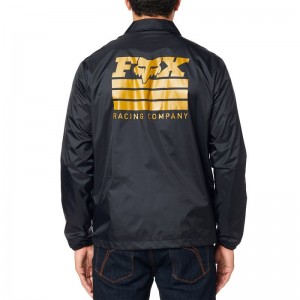 LAD JACKET 2
