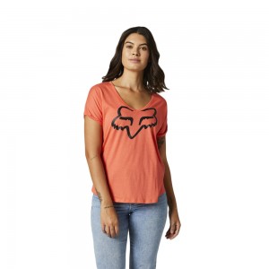 BOUNDARY SS TOP