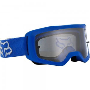 MAIN STRAY GOGGLE