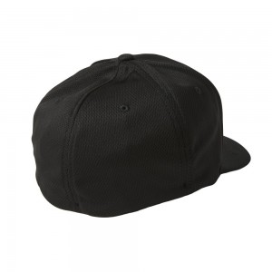 APEX FLEXFIT HAT 2