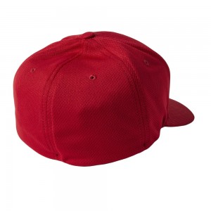 APEX FLEXFIT HAT 2