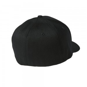 STANDARD FLEXFIT HAT 2