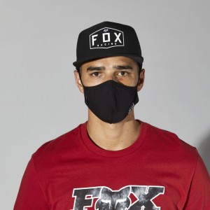FOX FACE MASK 2