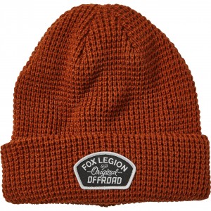SPEED DIVISION BEANIE