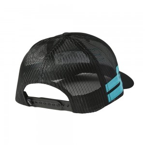 BOUNDARY TRUCKER 2