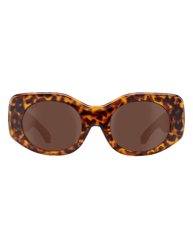 Hangout Tort - Brown
