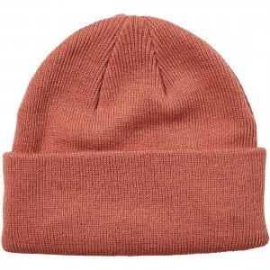 DAILY BEANIE 2
