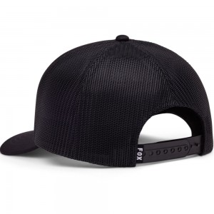 W BOUNDARY TRUCKER 2