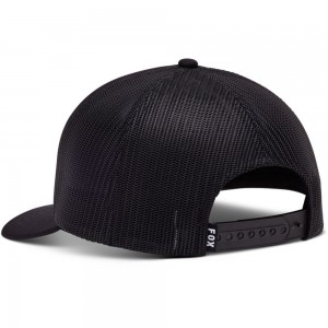W BOUNDARY TRUCKER 2
