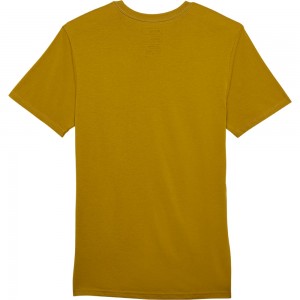 ABSOLUTE SS PREM TEE 2