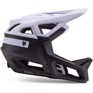 PROFRAME RS TAUNT CE 2