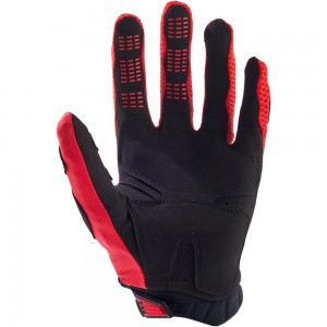 PAWTECTOR GLOVE 2