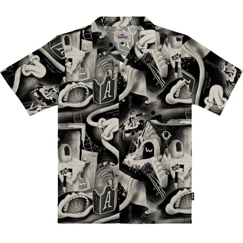 THE DUDES TORMENTED NIGHTS B/W...