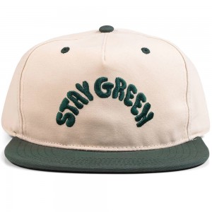THE DUDES GREEN DUDES...