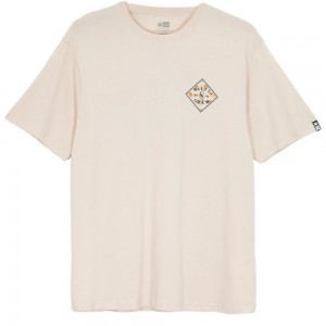 SALTY CREW TIPPET FILL SS TEE