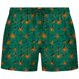 THE DUDES CHAOS SWIM SHORTS