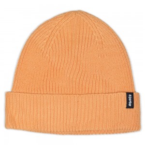 THE DUDES HOMESLICE BEANIE