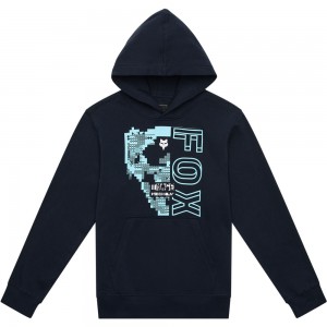 YTH IMAGE SKULL FLEECE PO