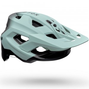 SPEEDFRAME PRO BACKFADE, CE
