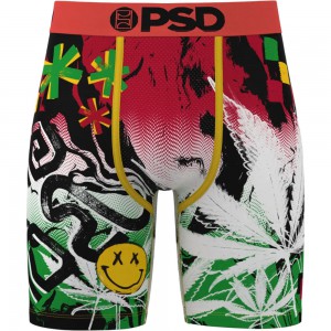 RASTAMIX 2