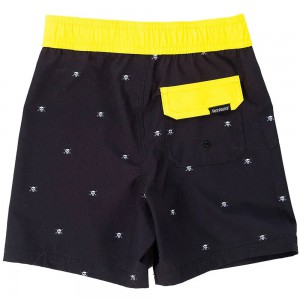 Toddler Jasper Boardshort 2