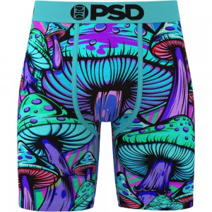SHROOM SOCIETY 2