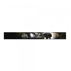 MARAUDER  SPY  DAMASSO  SANCHEZ –  HD  PLUS  GRAY  GREEN  WITH  BLACK  SPECTRA  MIRROR –   HD 2